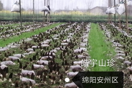 &#20048;&#40060;&#32593;&#39029;&#29256;&#30331;&#24405;&#20837;&#21475;&#45;&#20048;&#40060;&#40;&#20013;&#22269;&#41;