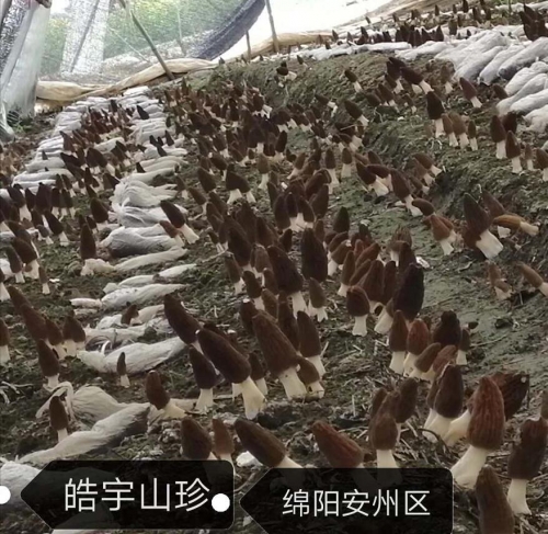 &#20048;&#40060;&#32593;&#39029;&#29256;&#30331;&#24405;&#20837;&#21475;&#45;&#20048;&#40060;&#40;&#20013;&#22269;&#41;