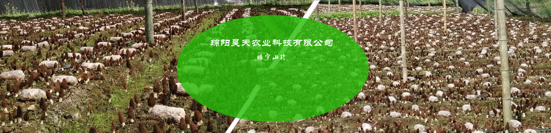 &#20048;&#40060;&#32593;&#39029;&#29256;&#30331;&#24405;&#20837;&#21475;&#45;&#20048;&#40060;&#40;&#20013;&#22269;&#41;