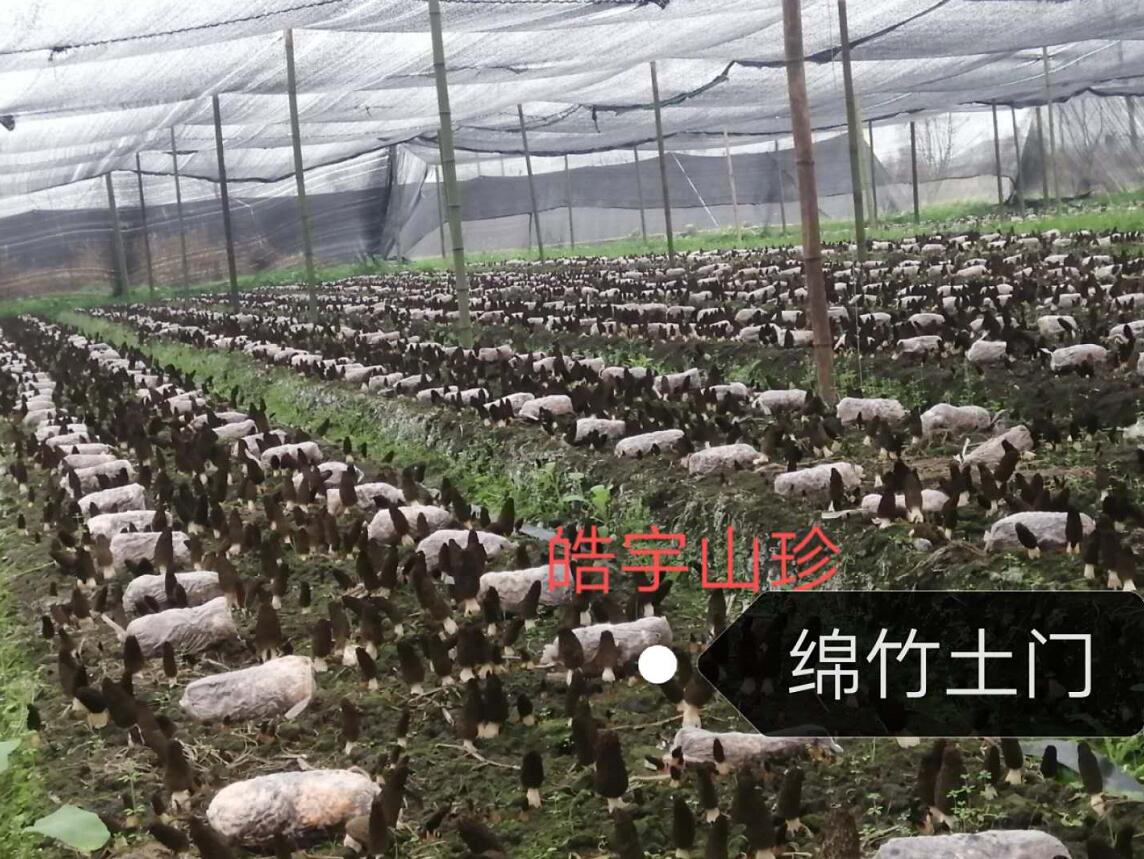 &#20048;&#40060;&#32593;&#39029;&#29256;&#30331;&#24405;&#20837;&#21475;&#45;&#20048;&#40060;&#40;&#20013;&#22269;&#41;