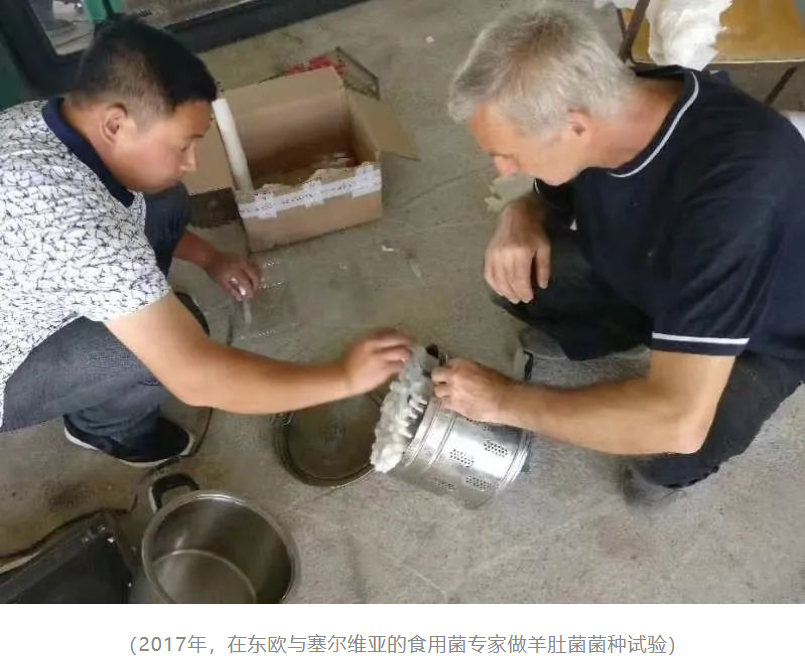 &#20048;&#40060;&#32593;&#39029;&#29256;&#30331;&#24405;&#20837;&#21475;&#45;&#20048;&#40060;&#40;&#20013;&#22269;&#41;