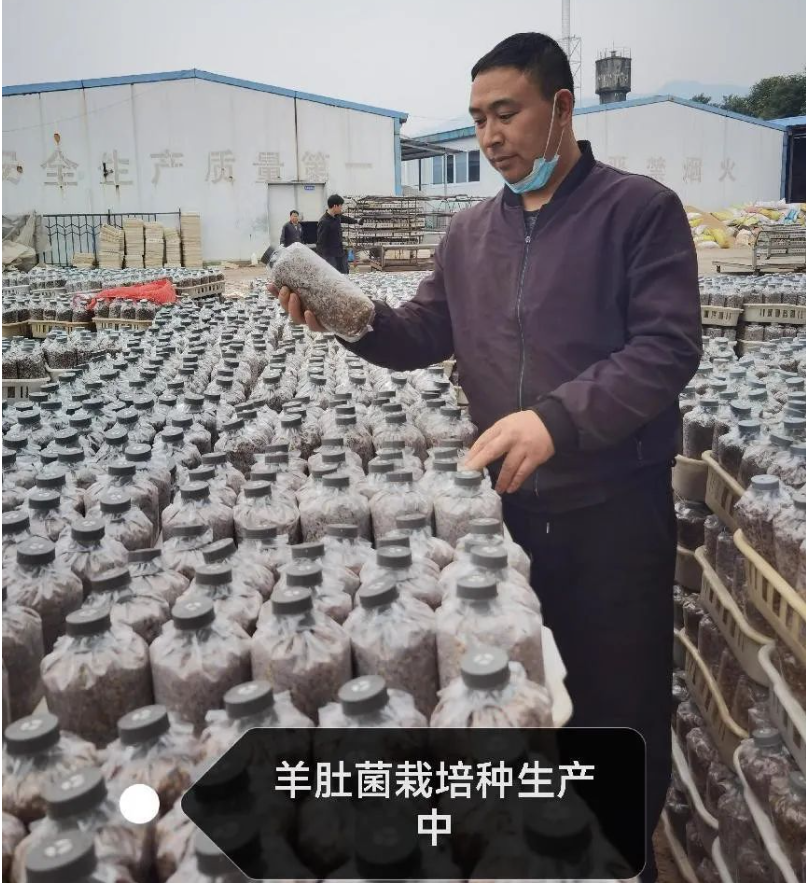 &#20048;&#40060;&#32593;&#39029;&#29256;&#30331;&#24405;&#20837;&#21475;&#45;&#20048;&#40060;&#40;&#20013;&#22269;&#41;